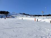 Oefenhelling in Zieleniec