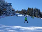 Gemakkelijke piste Dámská