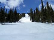 Moeilijke piste Windfall