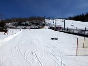 Tapis Magique Équilibre 1 - Transportband