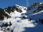 Afdalingen in het Balbachtal