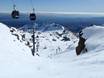 Skigebieden voor gevorderden en off-piste skiërs Tongariro-Nationalpark – Gevorderden, off-piste skiërs Whakapapa – Mt. Ruapehu