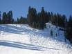 Skigebieden voor gevorderden en off-piste skiërs Sierra Nevada (VS) – Gevorderden, off-piste skiërs Homewood Mountain Resort