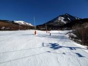 Dalafdaling Les Pllanes