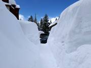 Sneeuwmassa's in Solitude