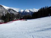 Beginnersweide Holzstube