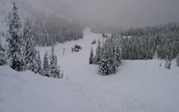 Oregon: Grootte van de skigebieden – Grootte Mt. Hood Skibowl