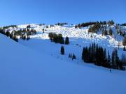 Uitzicht op de afdalingen op Mount Standish