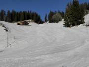 Gemakkelijke Reuti-dalafdaling