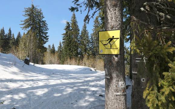 Langlaufen Rhodopen – Langlaufen Pamporovo