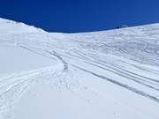 Freeridehellingen Brytnest-Grieschumma