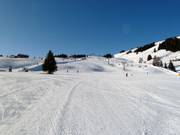 Makkelijke pistes bij de stoeltjeslift Euro