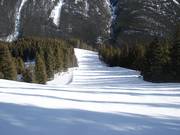 Brede en steile bosafdaling