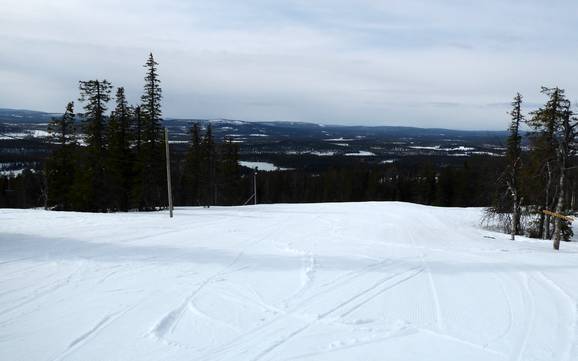 Skiën in Kåbdalis