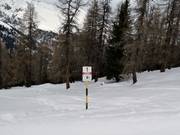 Het is verboden om bosgebieden te betreden