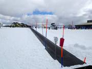 Snowsports School - Transportband/Moving Carpet