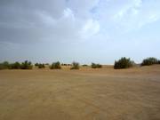 De uitgestrektheid van de woestijn