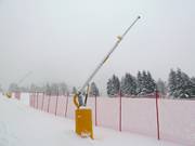 Sneeuwlansen in San Vito di Cadore