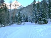 De langlaufloipe begint direct bij de skipiste.