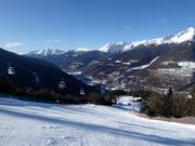 Pistes omzoomd door bossen in Ponte di Legno en Temù 