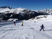 Transportband Almwiese