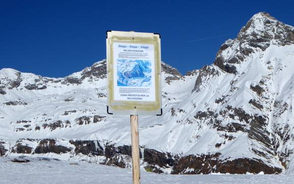 Hinterrheintal: milieuvriendelijkheid van de skigebieden – Milieuvriendelijkheid Splügen – Tambo