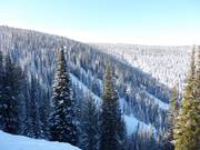 Uitzicht op de Double Diamond afdalingen aan de achterkant