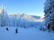 Middelzware afdaling Grand Return op Mt. Morrisey