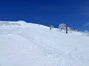 Moeilijke piste Champion (Annupuri)