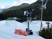 Sneeuwkanon op Cypress Mountain