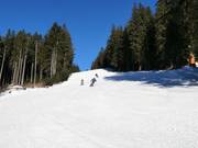 Middelzware piste bij de stoeltjeslift
