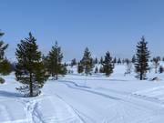 Loipe in Idre Himmelfjäll