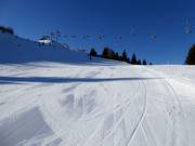 Middelzware piste Topolino