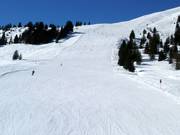 Brede piste nr. 64 Bärenbadkogel 2