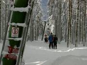 Pancíř vlek - Sleeplift met T-beugel/Ankerlift