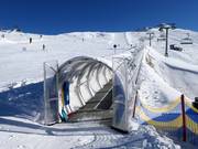 Almwiese - Overdekt(e) transportband/Moving Carpet