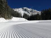 Geprepareerde piste in Ramsau am Dachstein