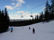 Gemakkelijke afdaling Târnbakken