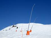 Lansbesneeuwing op de Zettersfeld