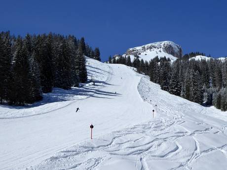 Skigebieden voor gevorderden en off-piste skiërs Kleinwalsertal – Gevorderden, off-piste skiërs Ifen
