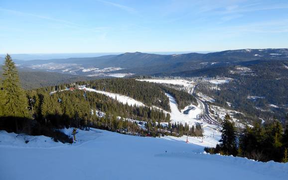 Zwieseler Winkel: Grootte van de skigebieden – Grootte Arber