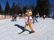 Brunos Kinderskiarena