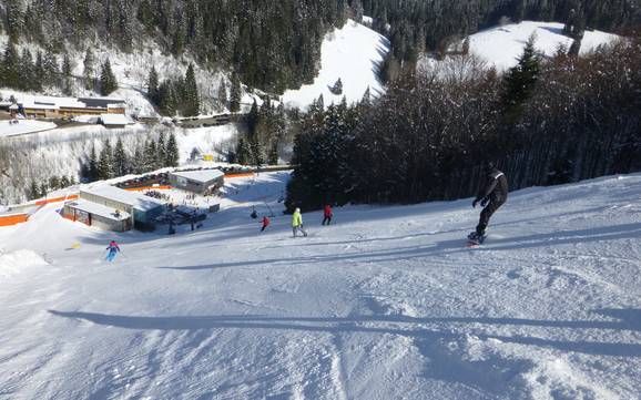 Skigebieden voor gevorderden en off-piste skiërs Breisgau-Hochschwarzwald – Gevorderden, off-piste skiërs Feldberg – Seebuck/Grafenmatt/Fahl