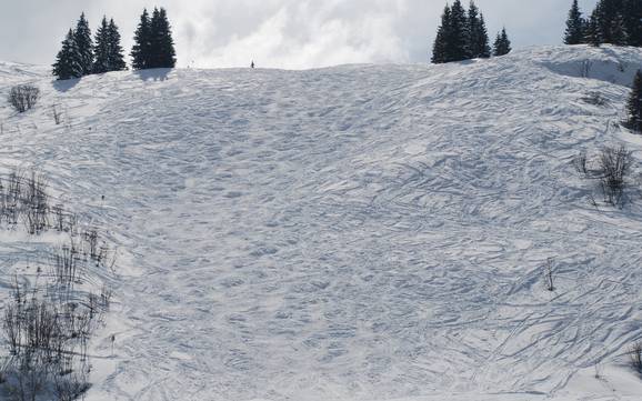 Skigebieden voor gevorderden en off-piste skiërs Val d'Arly – Gevorderden, off-piste skiërs Espace Diamant – Les Saisies/Notre-Dame-de-Bellecombe/Praz sur Arly/Flumet/Crest-Voland