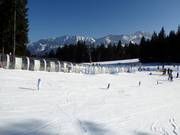 Oefenweide met transportband bij de Hausberg