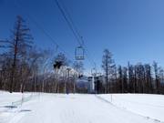 Community Chair - 2-persoons vaste stoeltjeslift