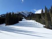 Gemakkelijke piste EDge Hunter