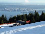 Uitzicht op Downtown Vancouver