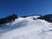 Familieafdaling Brandlalm