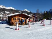 Hut bij het dalstation (Les Diablerets)